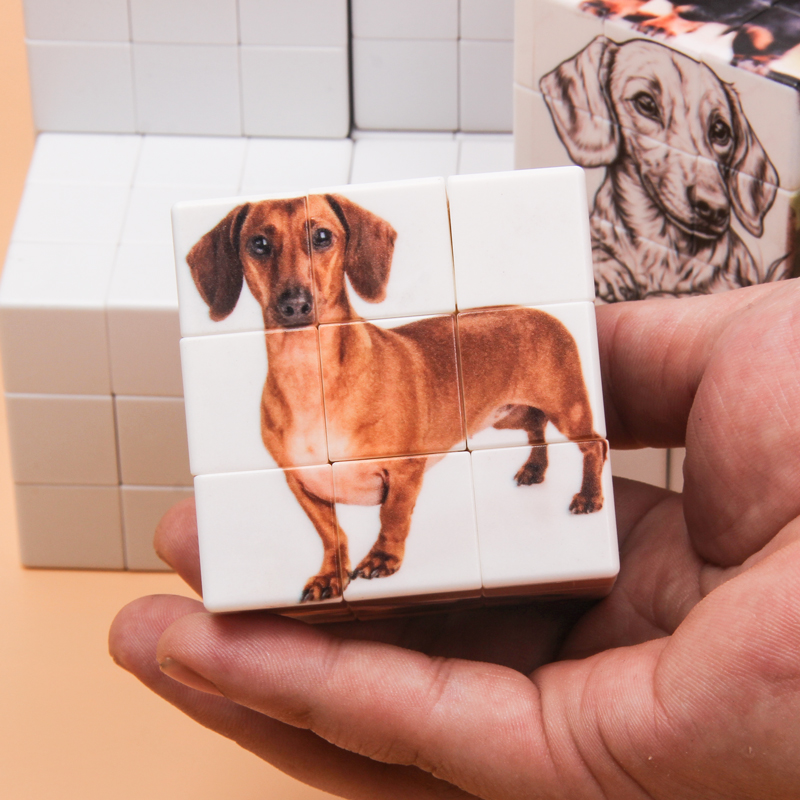 Personalized magic cubes, cust - Picture Frame 评论和价格