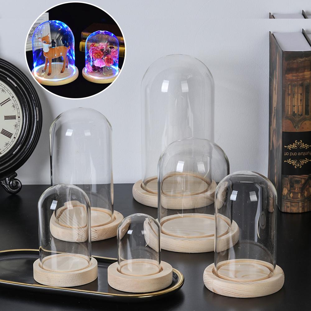 Fairy Lights Home Decor Terrar - Vase Decor 评论和价格