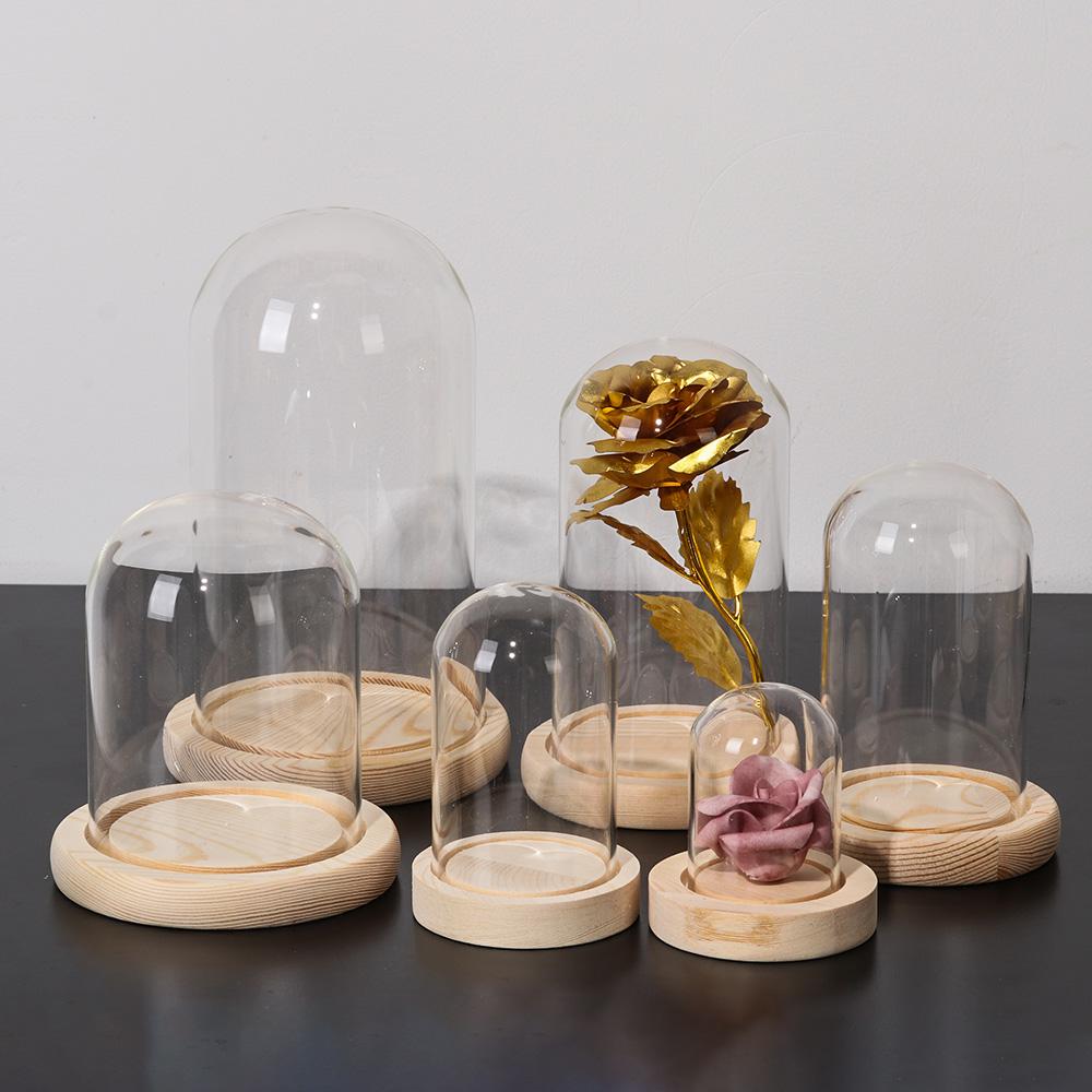 Fairy Lights Home Decor Terrar - Vase Decor 评论和价格